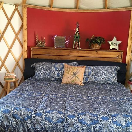 Mountain Springs Cabins Candler Εξωτερικό φωτογραφία