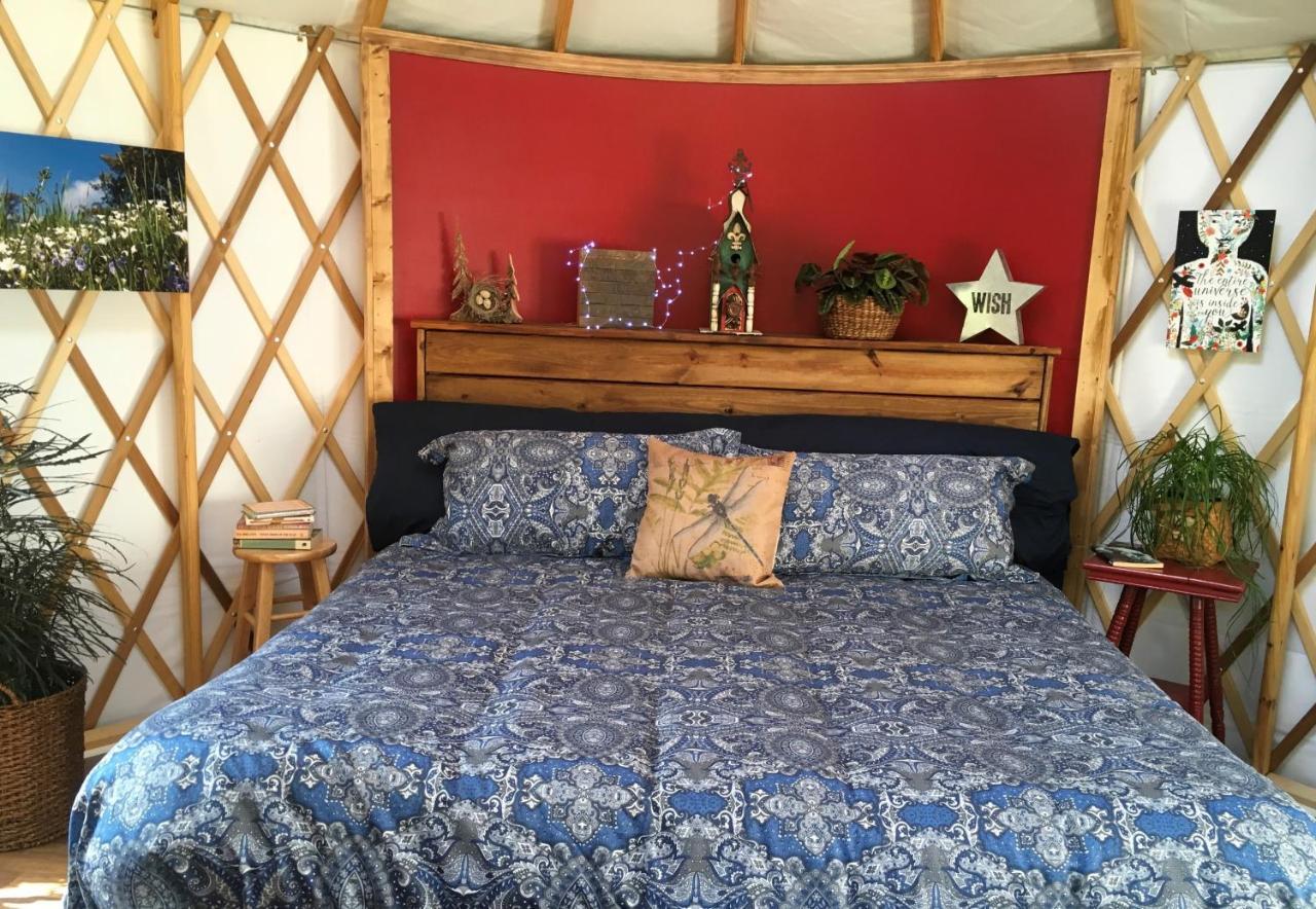 Mountain Springs Cabins Candler Εξωτερικό φωτογραφία