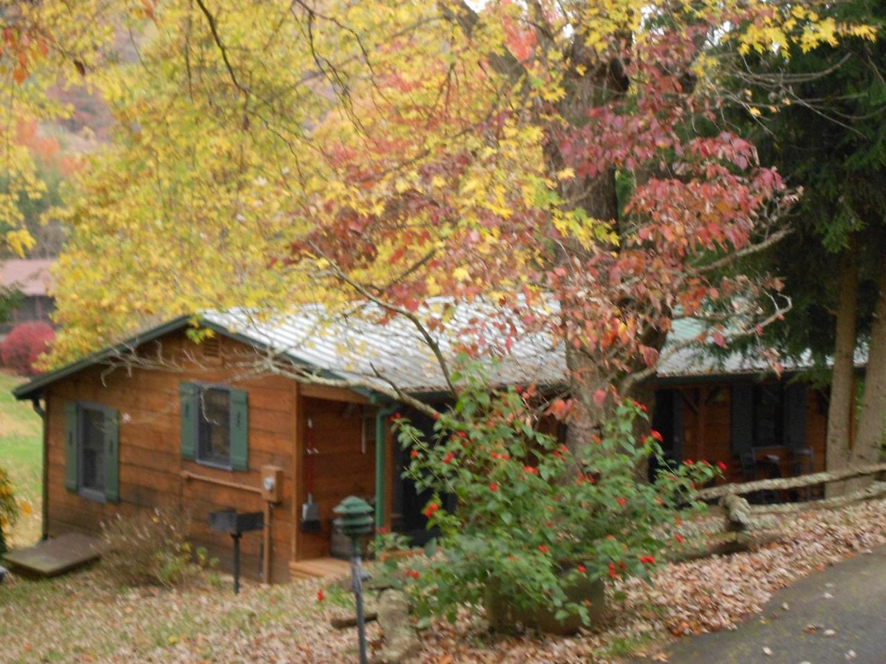 Mountain Springs Cabins Candler Εξωτερικό φωτογραφία