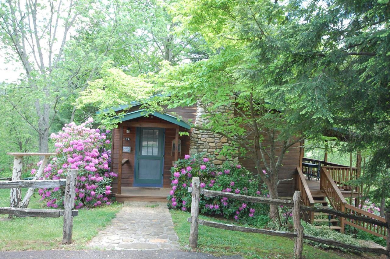 Mountain Springs Cabins Candler Εξωτερικό φωτογραφία