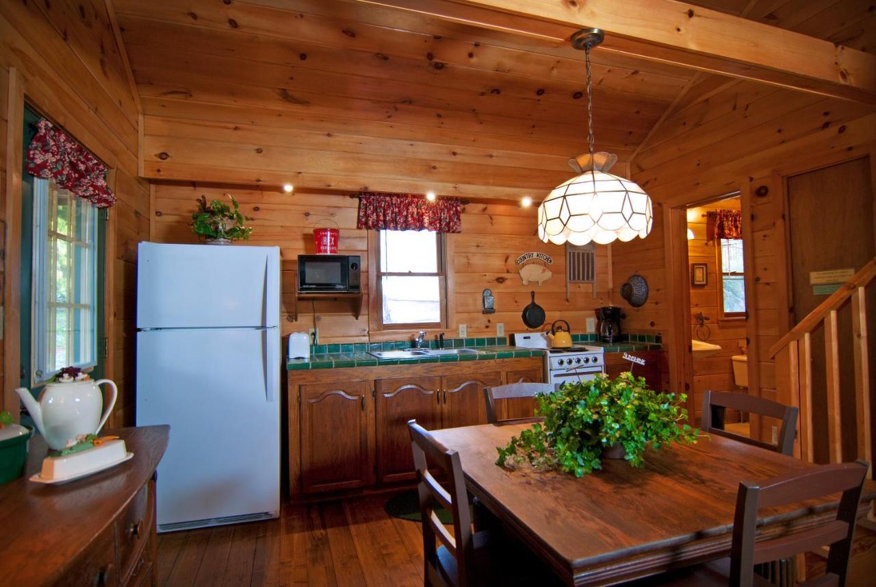 Mountain Springs Cabins Candler Εξωτερικό φωτογραφία