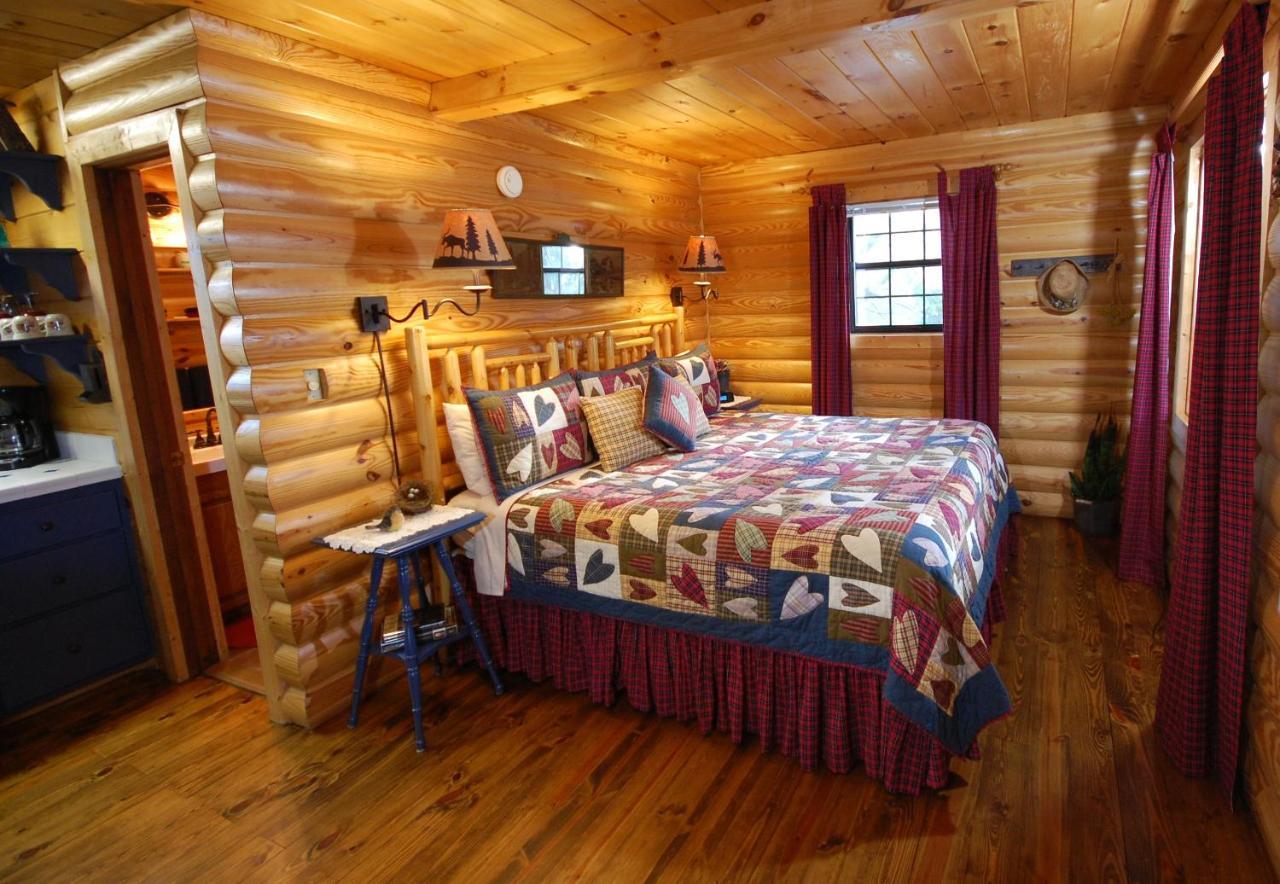 Mountain Springs Cabins Candler Εξωτερικό φωτογραφία