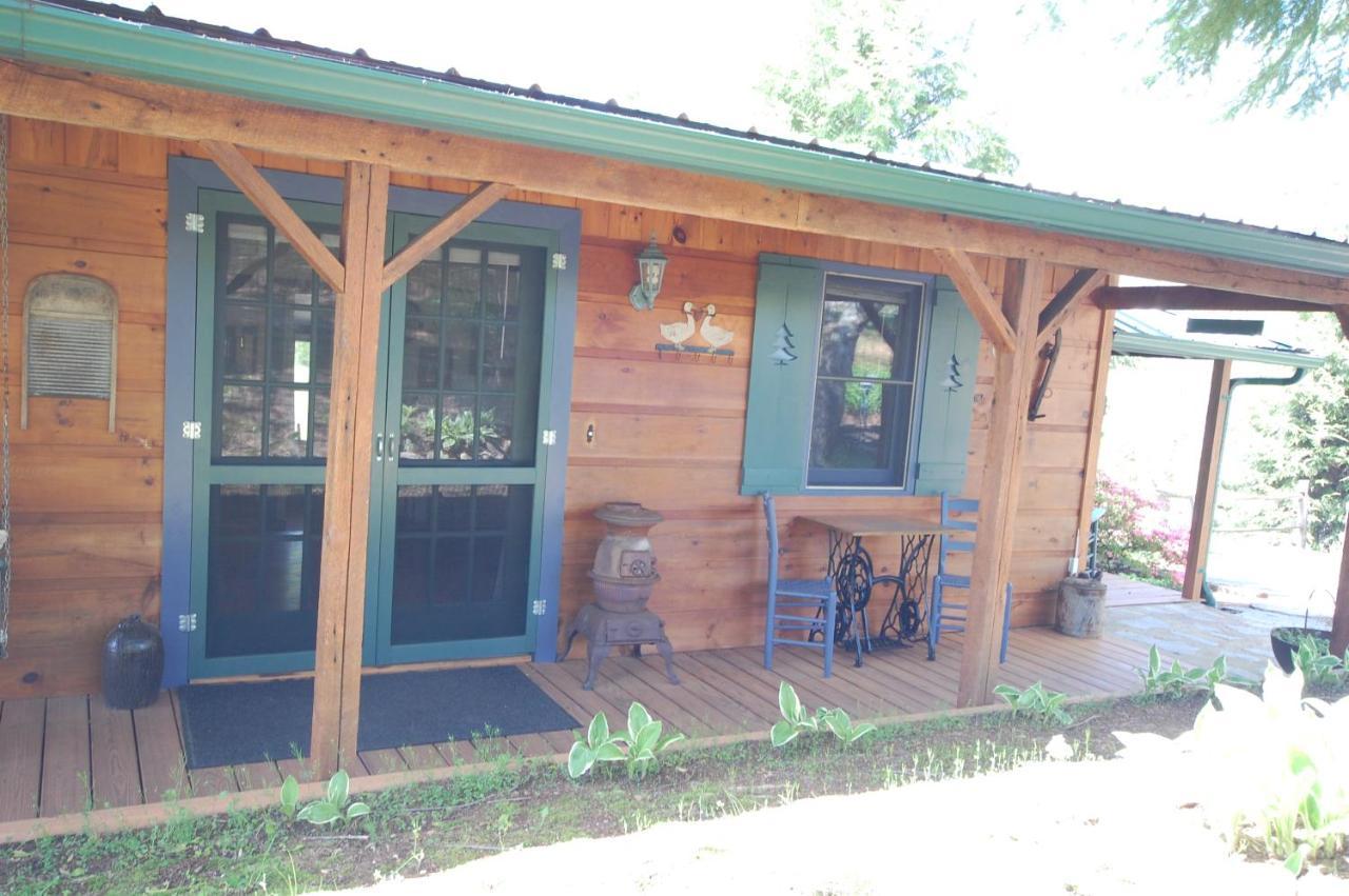 Mountain Springs Cabins Candler Εξωτερικό φωτογραφία