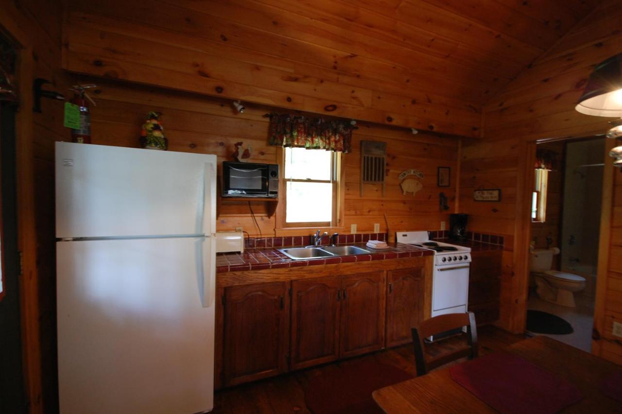 Mountain Springs Cabins Candler Εξωτερικό φωτογραφία