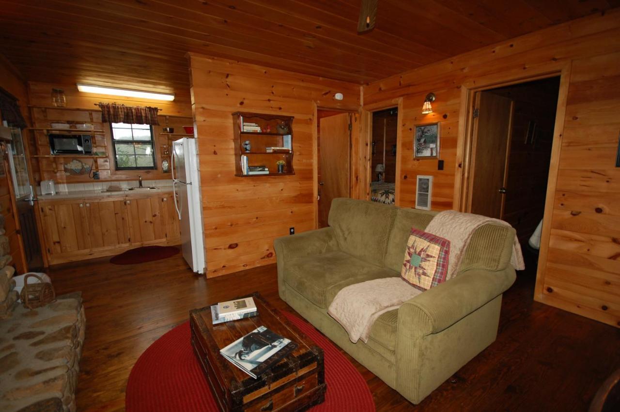 Mountain Springs Cabins Candler Εξωτερικό φωτογραφία
