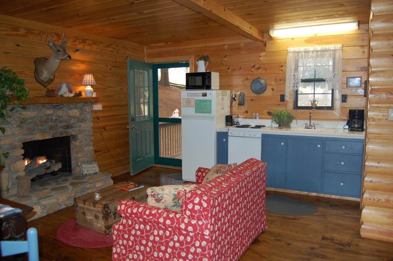 Mountain Springs Cabins Candler Εξωτερικό φωτογραφία