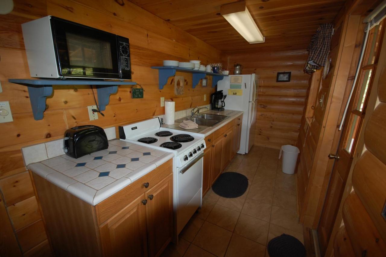 Mountain Springs Cabins Candler Εξωτερικό φωτογραφία