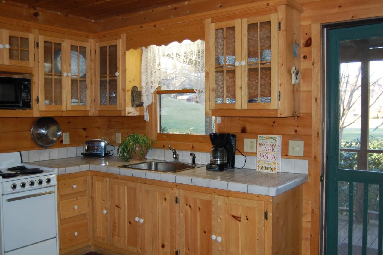Mountain Springs Cabins Candler Εξωτερικό φωτογραφία