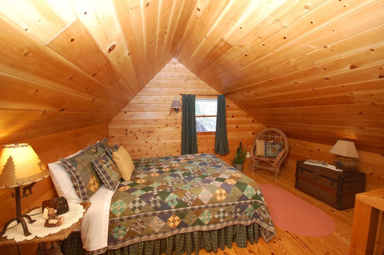 Mountain Springs Cabins Candler Εξωτερικό φωτογραφία
