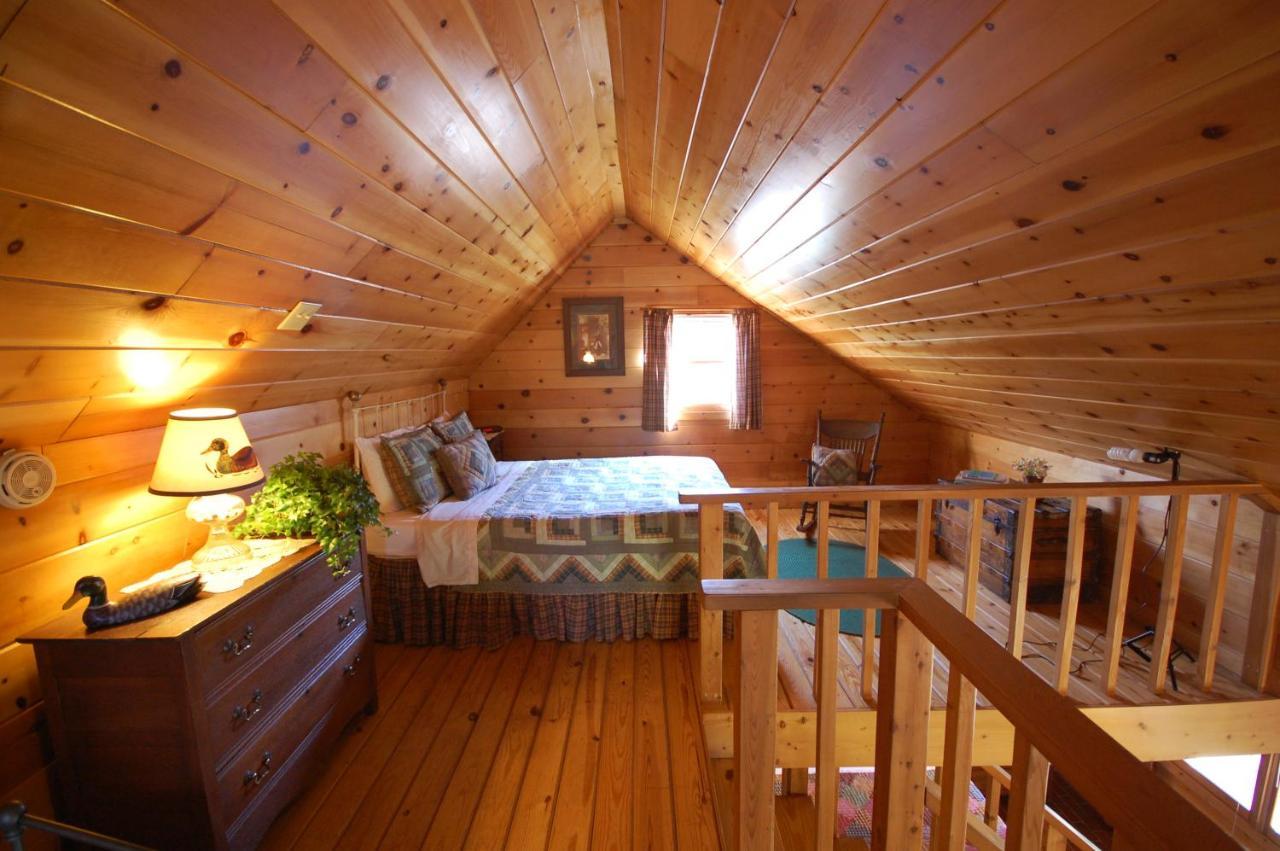 Mountain Springs Cabins Candler Εξωτερικό φωτογραφία