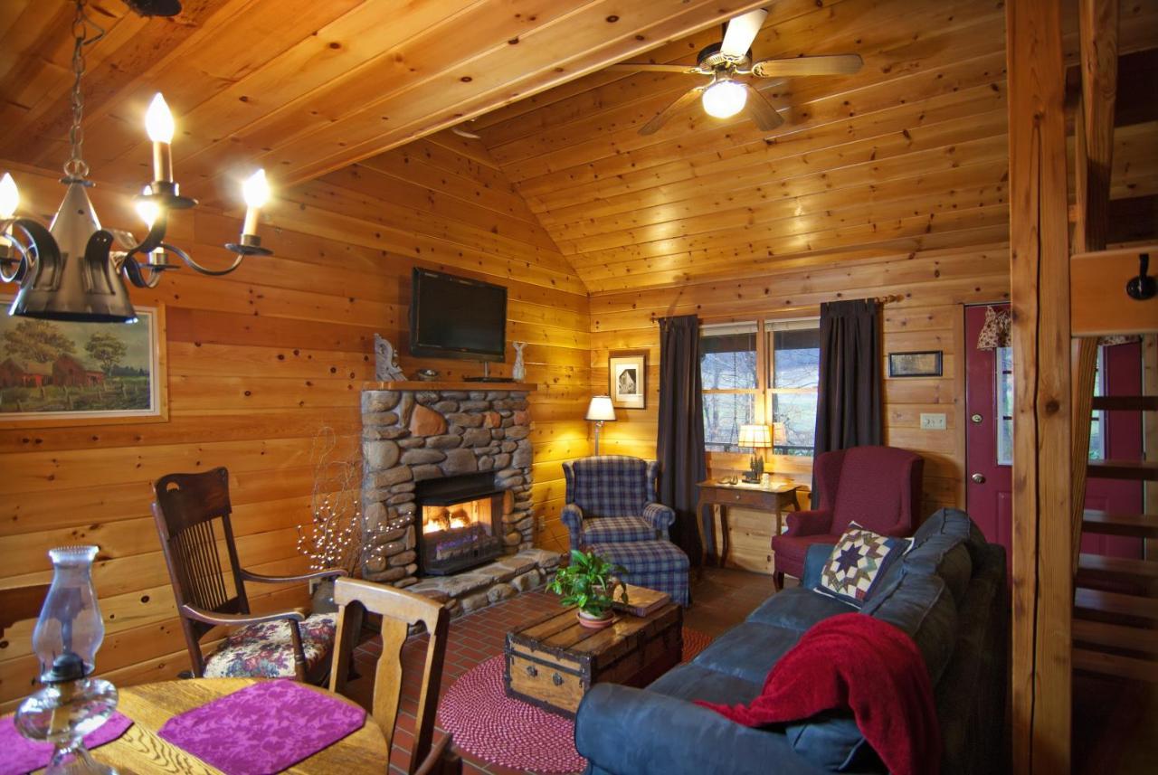 Mountain Springs Cabins Candler Εξωτερικό φωτογραφία