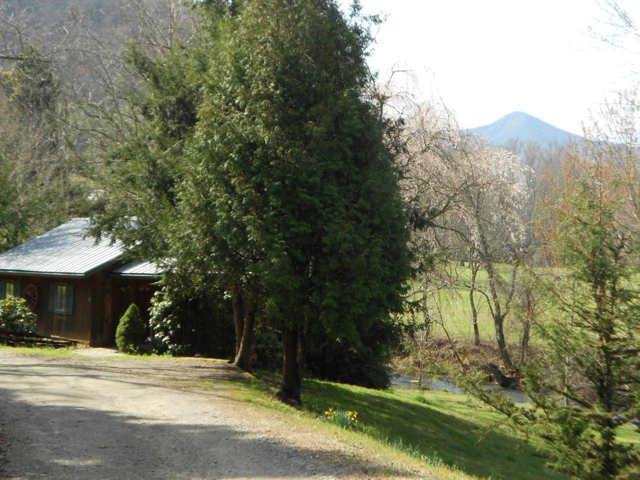 Mountain Springs Cabins Candler Εξωτερικό φωτογραφία