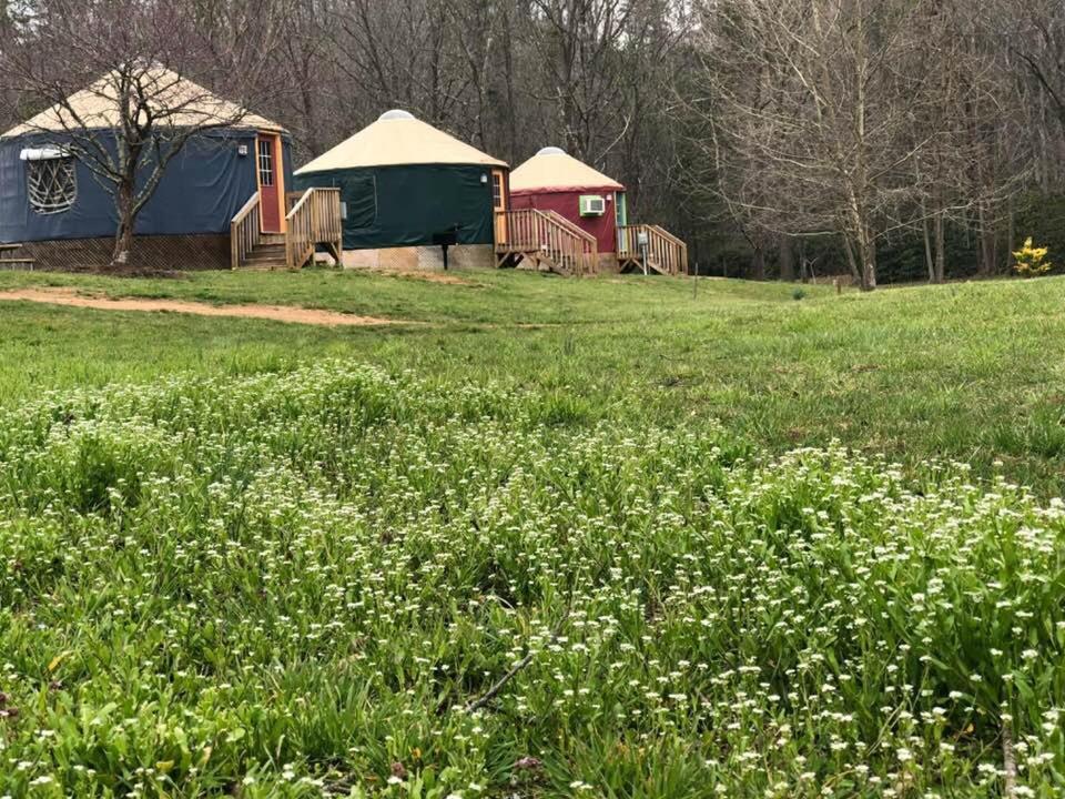 Mountain Springs Cabins Candler Εξωτερικό φωτογραφία