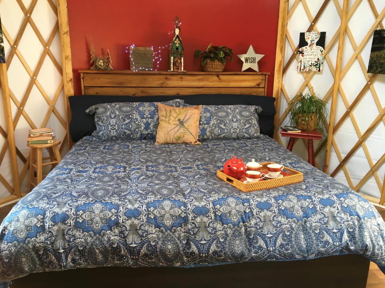 Mountain Springs Cabins Candler Εξωτερικό φωτογραφία