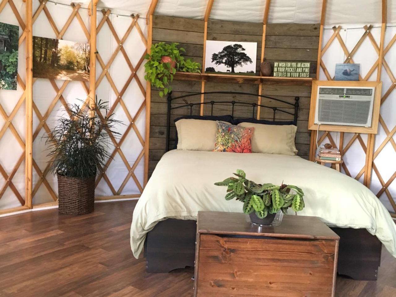 Mountain Springs Cabins Candler Εξωτερικό φωτογραφία